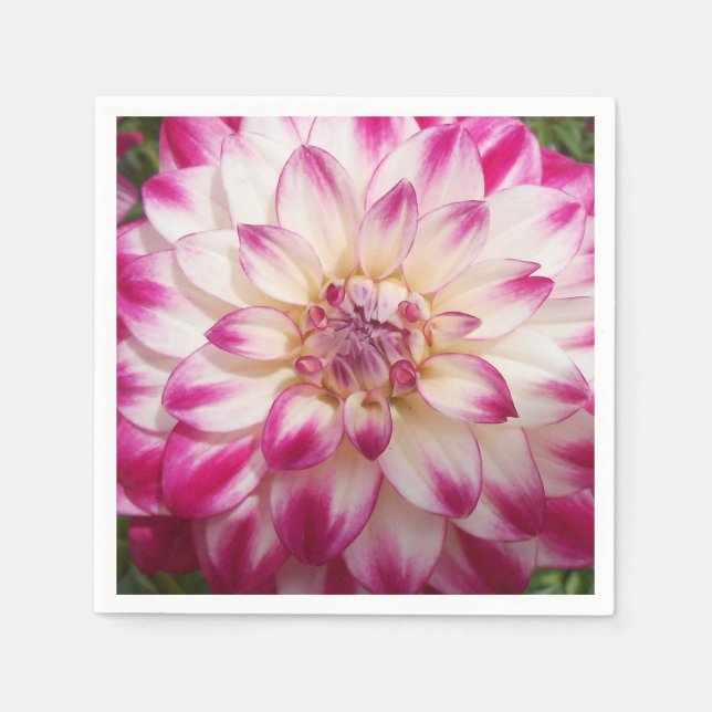 Guardanapo De Papel Beaux (Frente)