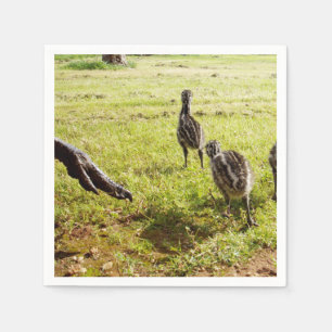 Guardanapo De Papel Bebê Pintinhos Emu E Pé Grande,