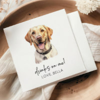 Bebidas Em Mim! Casamento com animais de estimação