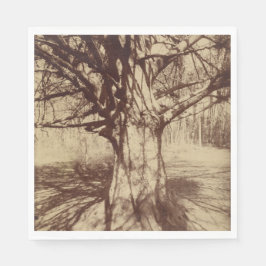 Guardanapo De Papel Beech Tree (por Eugène Atget)