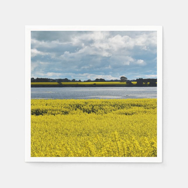 Guardanapo De Papel Bela Streatham Dramática (Frente)