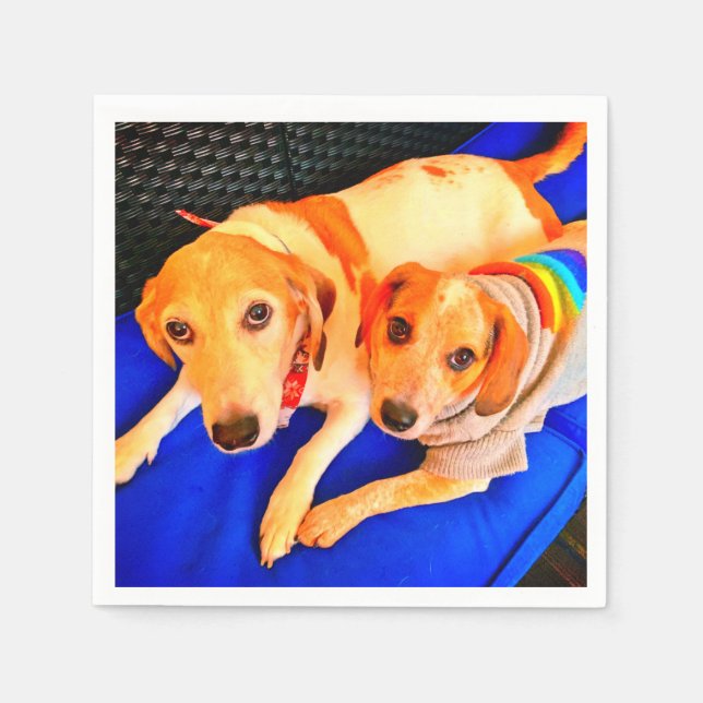 Guardanapo De Papel Bella e Luna Napkins por Tamara Diaz Art (Frente)