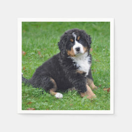 Guardanapo De Papel Bernese Mountain Dog Puppy Foto