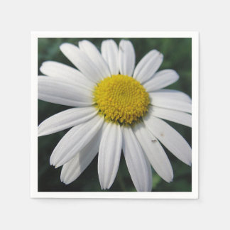 Guardanapo De Papel Big White Daisy Napkins