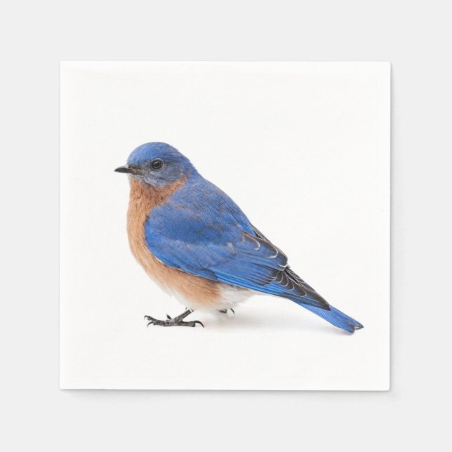 Guardanapo De Papel Bluebird (Frente)