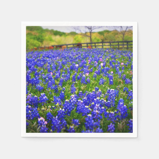 Guardanapo De Papel Bluebonnets no Texas (Frente)