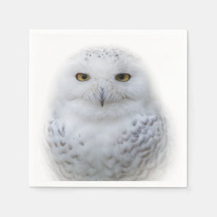 Guardanapo De Papel Bonita, Dreamy e Serene Snowy Owl