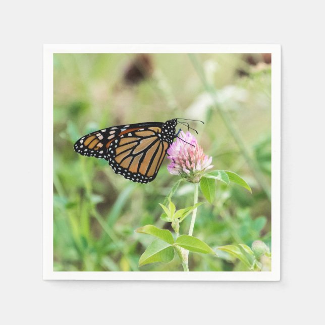 Guardanapo De Papel Borboleta de monarca (Frente)