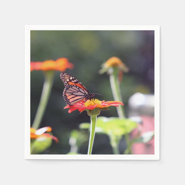 Guardanapo De Papel Borboleta Napkins (Frente)