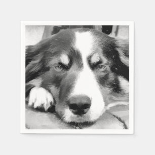 GUARDANAPO DE PAPEL BORDER COLLIE