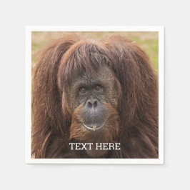 Guardanapo De Papel Borneo Orangutan - Bela Fotografia