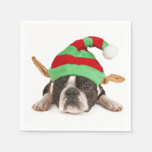 Guardanapo De Papel Boston Terrier com um chapéu do Natal