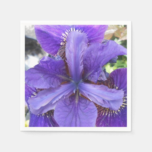 Guardanapo De Papel Brandeis (Frente)