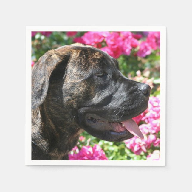 Guardanapo De Papel Brindle Mastiff (Frente)