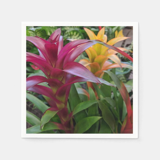 Guardanapo De Papel Bromeliade Paper Napkin (Frente)