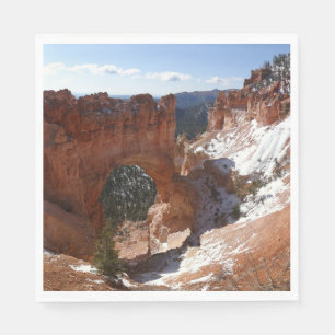 Guardanapo De Papel Bryce Canyon Natural Bridge Snowy Landscape Foto