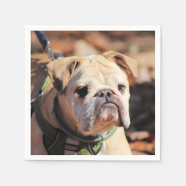 Guardanapo De Papel Buldogue