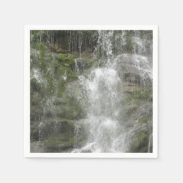 Guardanapo De Papel Cachoeira La Chute no Parque Nacional Forillon