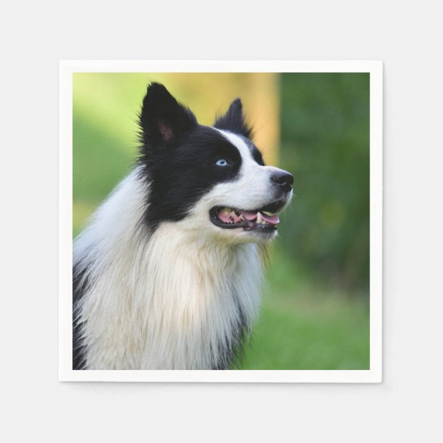 Guardanapo De Papel Cachorro Collie de Borda Negra (Frente)