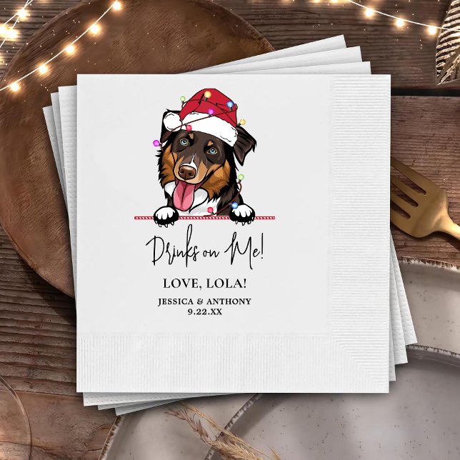 Guardanapo De Papel Cachorro Collie Sério Bebidas Personalizadas em Mi (Criador carregado)