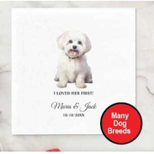 Guardanapo De Papel Cachorro Maltês Eu Amava Seu Primeiro Casamento