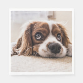 Guardanapo De Papel Cachorro Panelado De Olhos Tristes