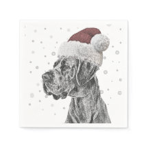 Cachorro Retrato Natal