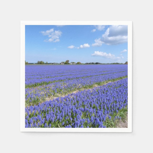 Guardanapo De Papel Campo de Hyacinths (Frente)