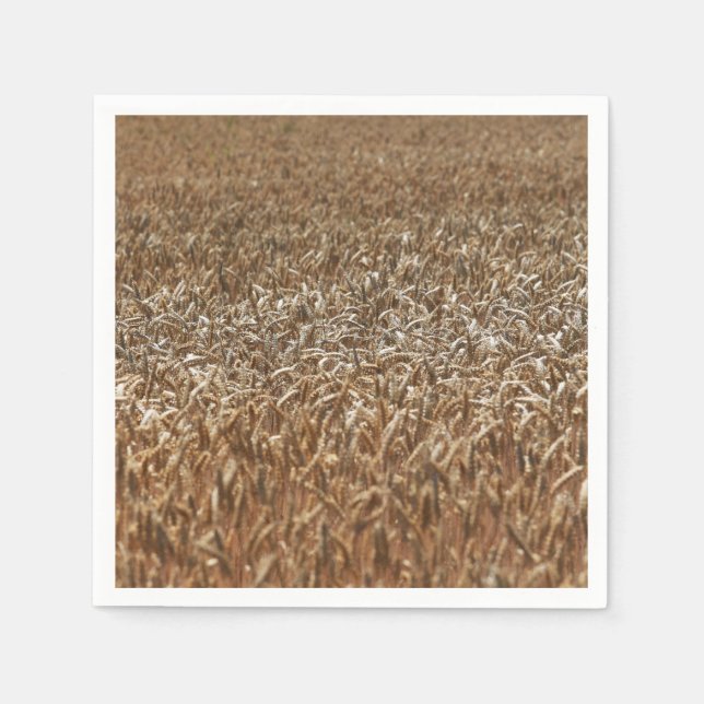 Guardanapo De Papel Campo de trigo (Frente)