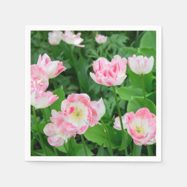 Guardanapo De Papel Campo de tulipas rosa (Frente)