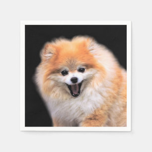 Guardanapo De Papel Cão de riso bonito de Pomeranian