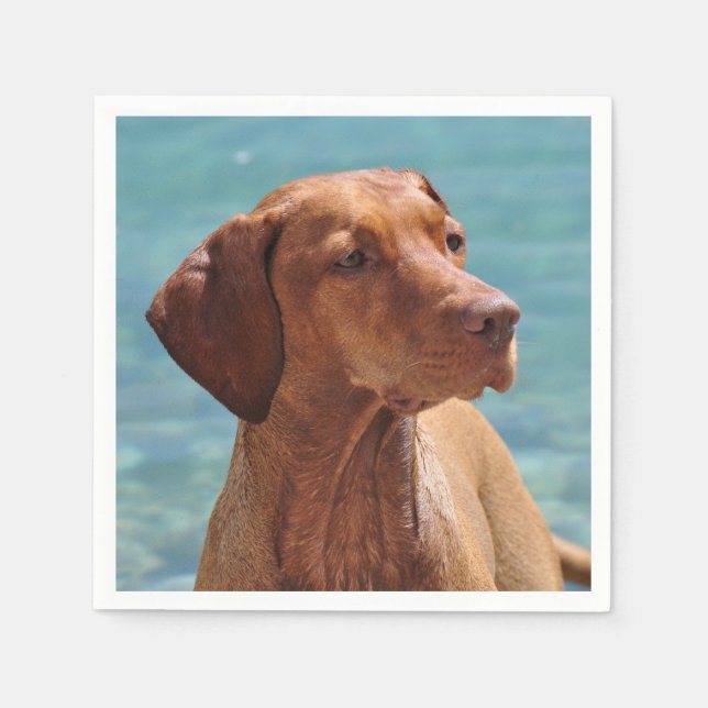 Guardanapo De Papel Cão Magyar Vizsla (Frente)