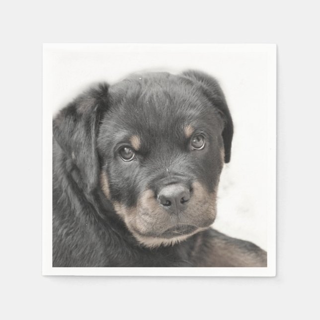 Guardanapo De Papel cão rottweiler (Frente)