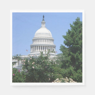 Guardanapo De Papel Capitol Building, do Parque Bartholdi