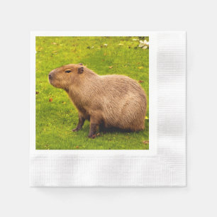 Guardanapo De Papel Capivara
