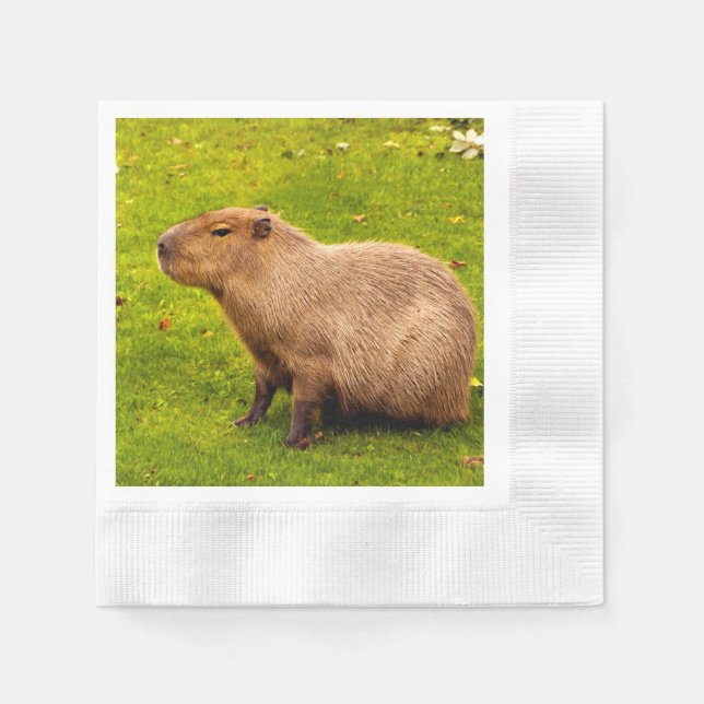 Guardanapo De Papel Capivara (Frente)