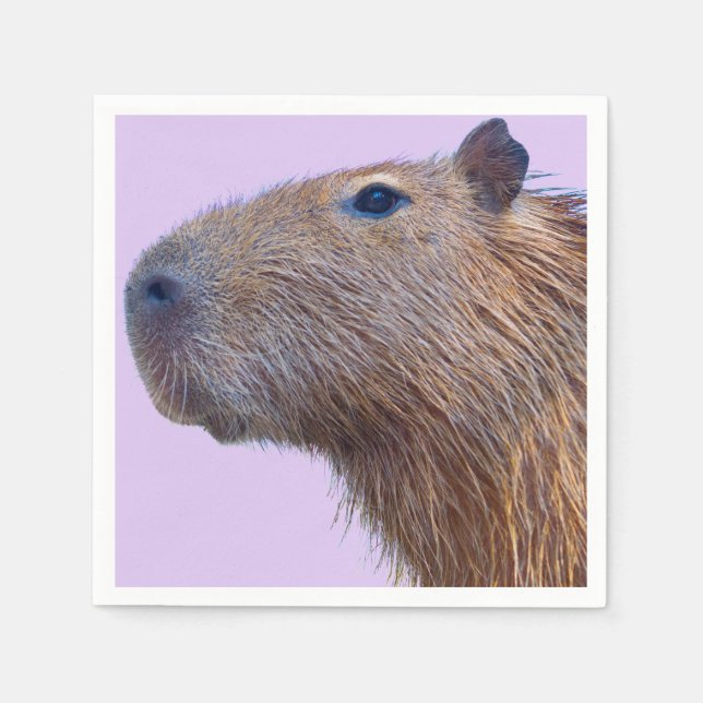 Guardanapo De Papel Capybara (Frente)