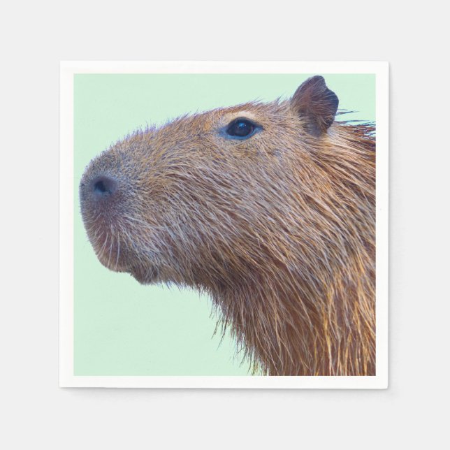 Guardanapo De Papel Capybara (Frente)