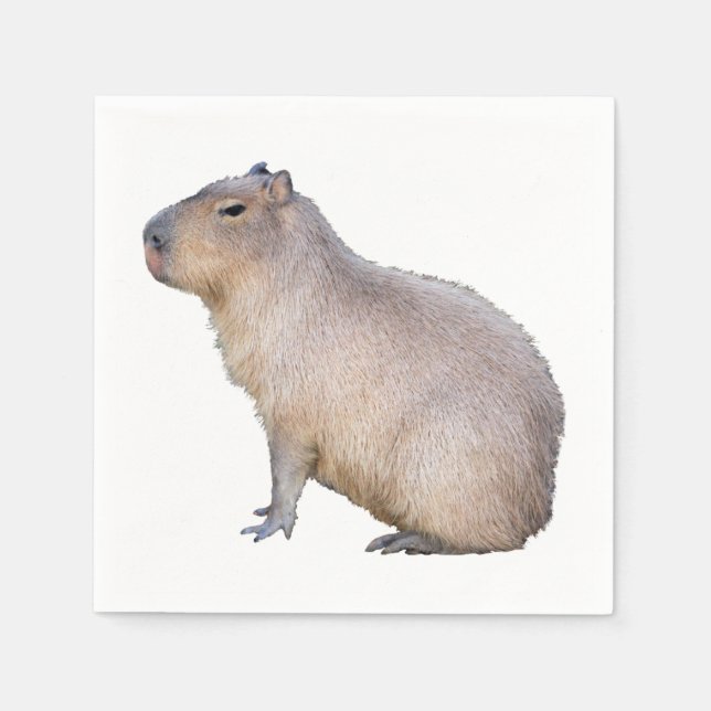 Guardanapo De Papel Capybara (Frente)