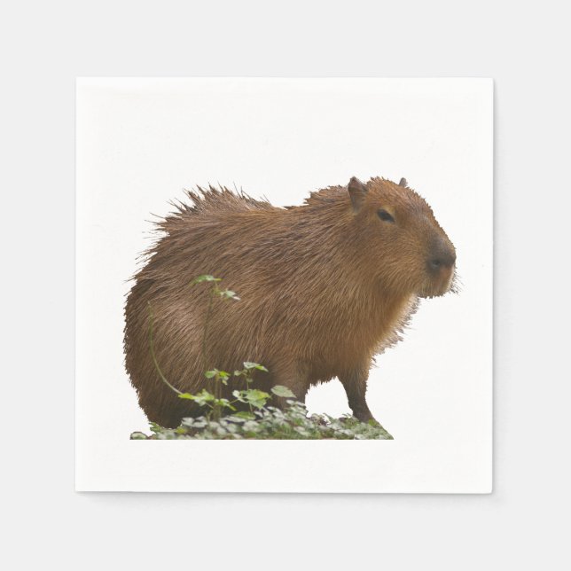 Guardanapo De Papel Capybara (Frente)