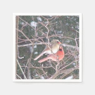 Guardanapo De Papel Cardeal Cocktail Napkins