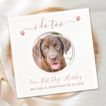 Casamento de Cachorro de Foto Pet Foto Muito Doura