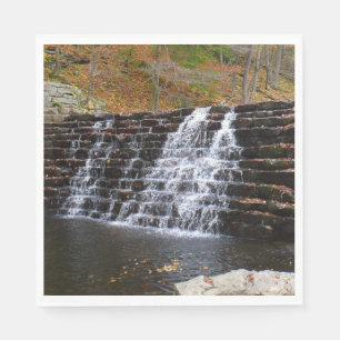 Guardanapo De Papel Cascata em Laurel Hill State Park I