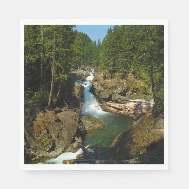 Guardanapo De Papel Cataratas de Silver em Mount Rainier National Park (Frente)