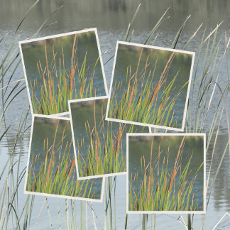 Guardanapo De Papel Cattails Waterfront Photographics Lake