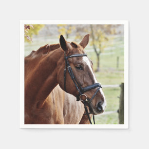 Guardanapo De Papel Cavalo da castanha com chama, freio, no pasto