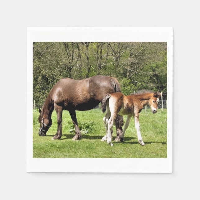 GUARDANAPO DE PAPEL CAVALOS (Frente)