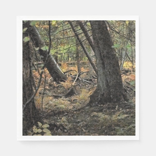 Guardanapo De Papel Cena da floresta do outono (Frente)