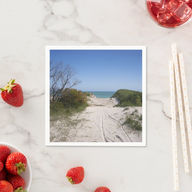 Guardanapo De Papel Cervantes WA Paper (Insitu)