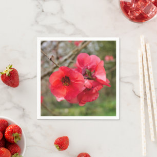 Guardanapo De Papel Chaenomeles speciosa Paper Napkins
